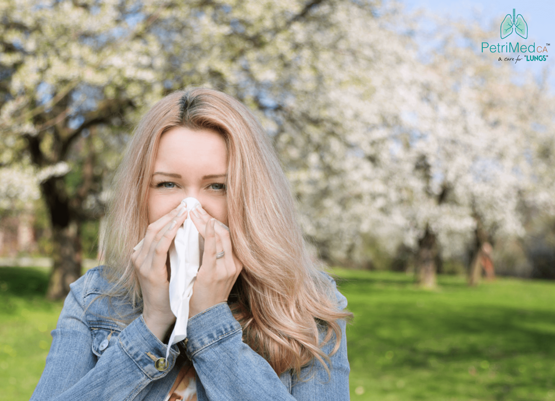 Air Purification System and Spring Allergies